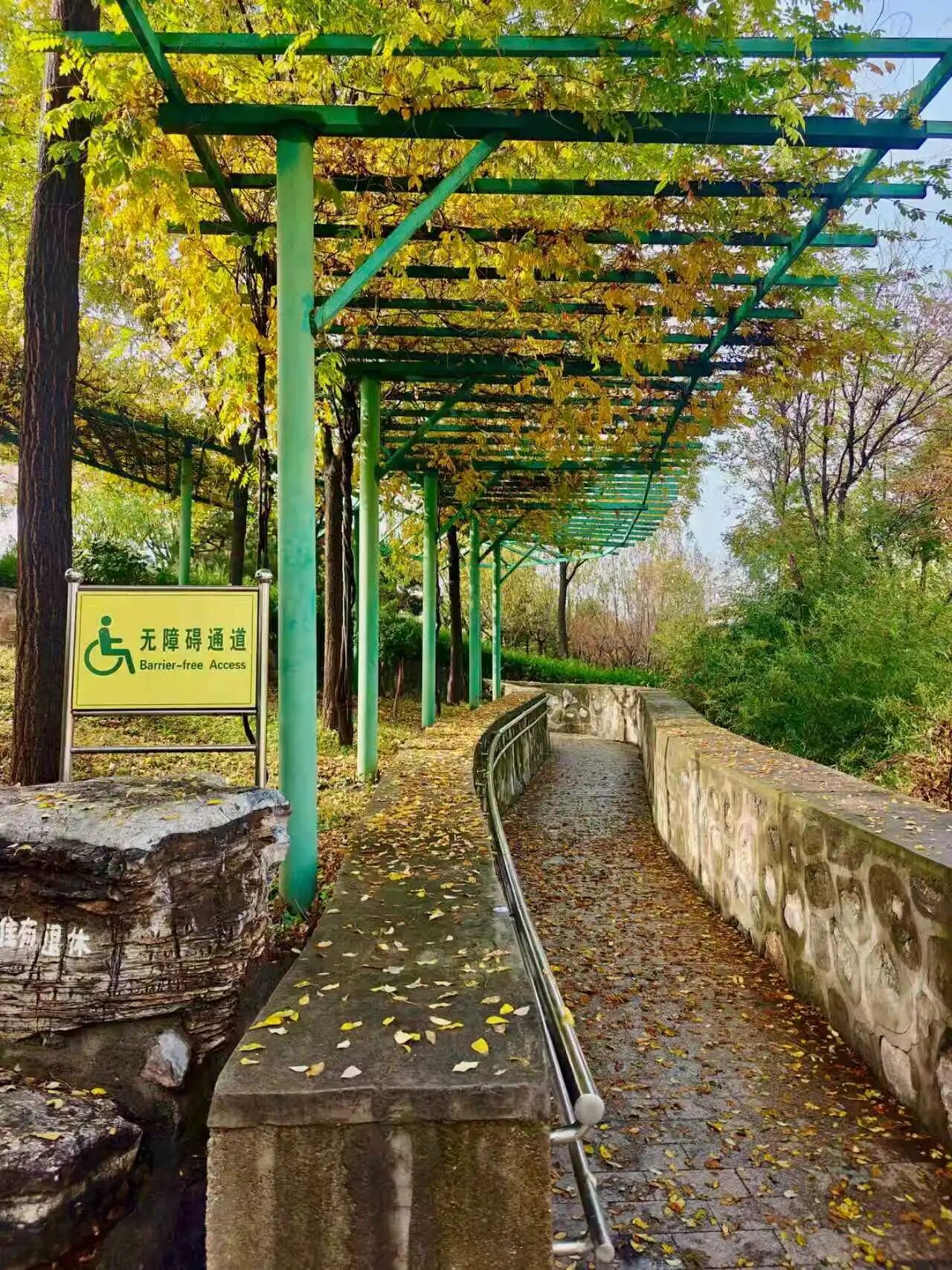 微信图片_2025-11-19_155527_892