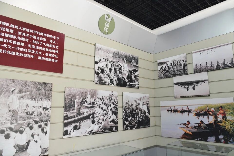 微信图片_2025-11-26_084142_650